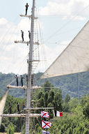 Les cadets du Tarangini plus hauts que les arbres à Bordeaux | Photo Bernard Tocheport