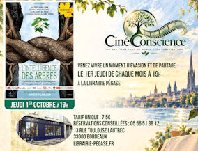 Film L'intelligence des arbres - Librairie Pégase Bordeaux