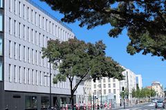 Cité Municipale façade et perspective cours d'Albret  -  photo 33-bordeaux.com