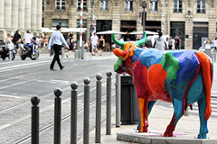 Cow Parade de Bordeaux : La vache DD33, cours du 30 juillet