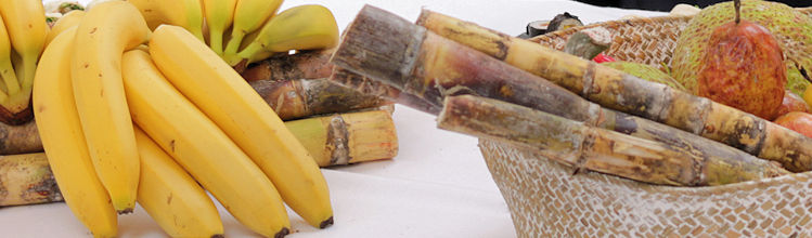 Bananes et produits agricoles bénéficiant du label RUP