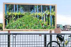 Bordeaux Fête le Vin 2022 exposition photos | Photo Bernard Tocheport