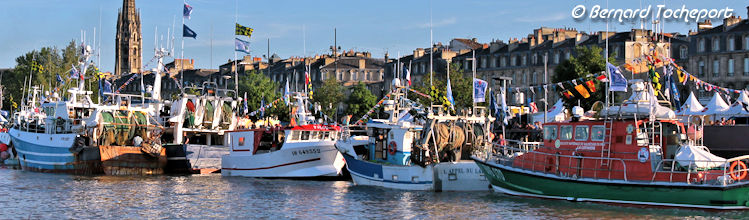 Bateaux de pêche de La Cotinière au ponton d'Honneur
