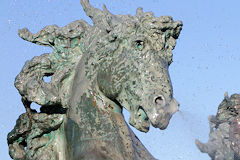 Tête d'un cheval de la fontaine des Girondins à Bordeaux | Photo Bernard Tocheport