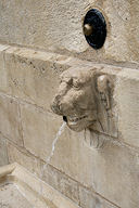 Eau jaillissante d'une tête animale : fontaine des Salinières à Bordeaux | Photo Bernard Tocheport