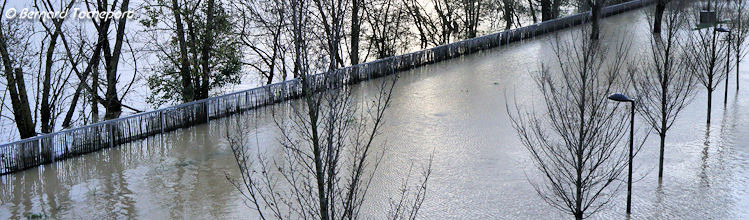 Bordeaux la Garonne sortie de son lit le 19 février 2026 | photo Bernard Tocheport