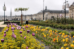Bordeaux : perspective sur le jardin des lumières | 33-bordeaux.com