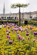 Bordeaux fleurs et tulipes au jardin des lumières | 33-bordeaux.com