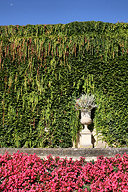 Jardin public de Bordeaux mur de verdure |  photo 33-bordeaux.com