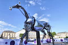 ZEUS cheval inauguration des JO au Jardin public de Bordeaux | Photo Bernard Tocheport