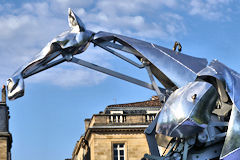 ZEUS articulation encolure du cheval des JO au Jardin public de Bordeaux | Photo Bernard Tocheport