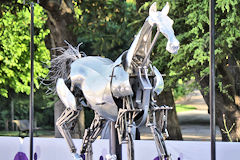 ZEUS cheval inauguration des JO devant les arbres du Jardin public de Bordeaux | Photo Bernard Tocheport