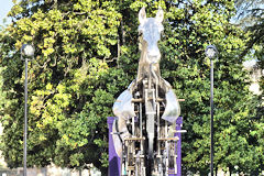 Cheval ZEUS vu de face au Jardin public de Bordeaux | Photo Bernard Tocheport
