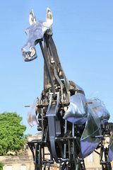 Encolure de ZEUS cheval des JO au Jardin public de Bordeaux | Photo Bernard Tocheport