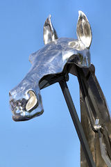 Tête du cheval ZEUS au Jardin public de Bordeaux | Photo Bernard Tocheport