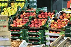 Grossiste fruits au marché de Brienne à Bordeaux |  photo 33-bordeaux.com