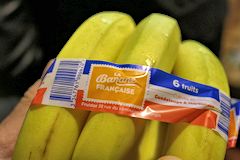 Pack bananes françaises mures au marché de Brienne |  photo 33-bordeaux.com