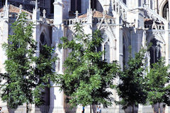 Bordeaux place Pey Berland arbres et cathédrale Saint André | Photo Bernard Tocheport