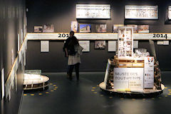 Chantier exposition temporaire au Muséum de Bordeaux | Photo Bernard Tocheport