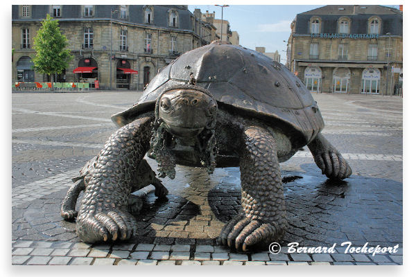 Bordeaux la tortue Theimer de la place de la Victoire | Photo Bernard Tocheport