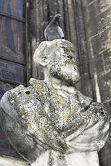 Bordeaux pigeaon posé sur le buste Léo Drouyn place Pey Berland | Photo Bernard Tocheport 