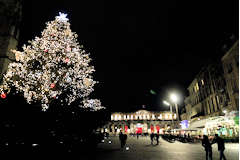 Bordeaux place Pey Berland sapin de Noël devant la mairie | Photo Bernard Tocheport 