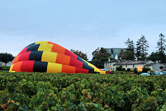 Gonflage d'une montgolfière derrière les vignes du Château Guadet à  Saint Emilion | Photo 33-bordeaux.com