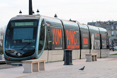 Tram décoré pour le Jumping de Bordeaux  -  photo 33-bordeaux.com