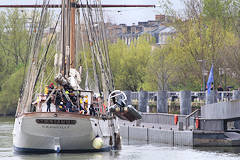 Poupe du 3 mâts Marité au ponton d'honneur à Bordeaux | Photo Bernard Tocheport