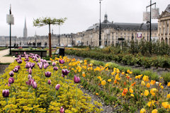 Bordeaux : perspective sur le jardin des lumières | 33-bordeaux.com