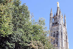 Bordeaux arbres de la place et tour Pey Berland | Photo Bernard Tocheport