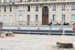 Bordeaux la souche des arbres coupés place Pey Berland | Photo Bernard Tocheport
