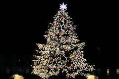 Bordeaux sapin de Noël illuminé place Pey Berland | Photo Bernard Tocheport 