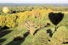 Saint Emilion : montgolfières au lever du soleil