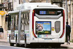 Bordeaux arrière Bus Express ligne G destination Issac | photo Bernard Tocheport