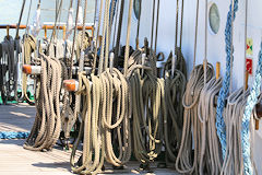 Alignement de cordages sur le pont du 3 mâts Dar Mlodziezy en escale à Bordeaux | Photo Bernard Tocheport